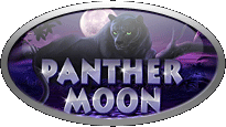 Грати безкоштовно в ігрові автомати Panther Moon 