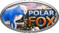 Грати безкоштовно в ігрові автомати Polar Fox 